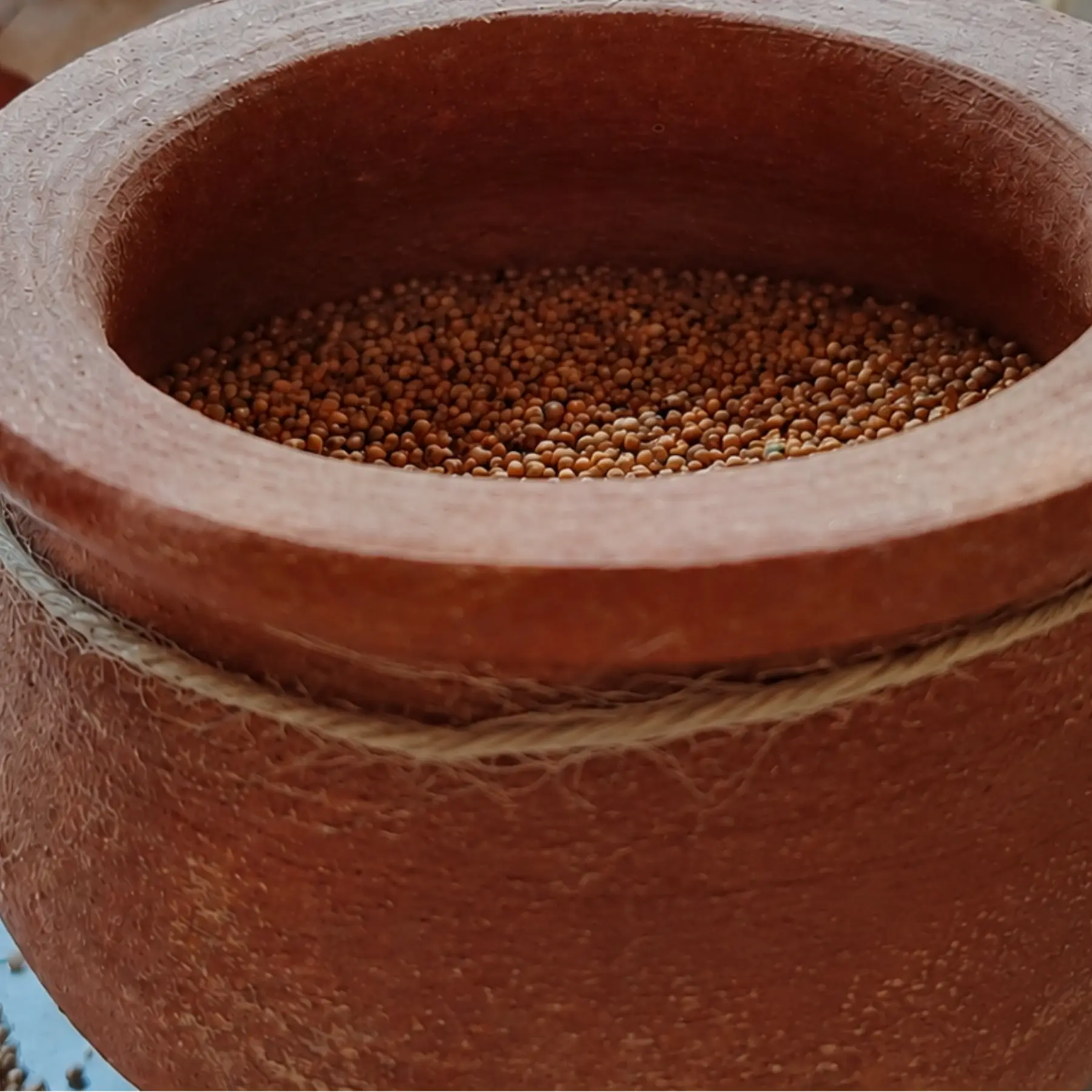 Ragi grain stored in a terracotta pot
