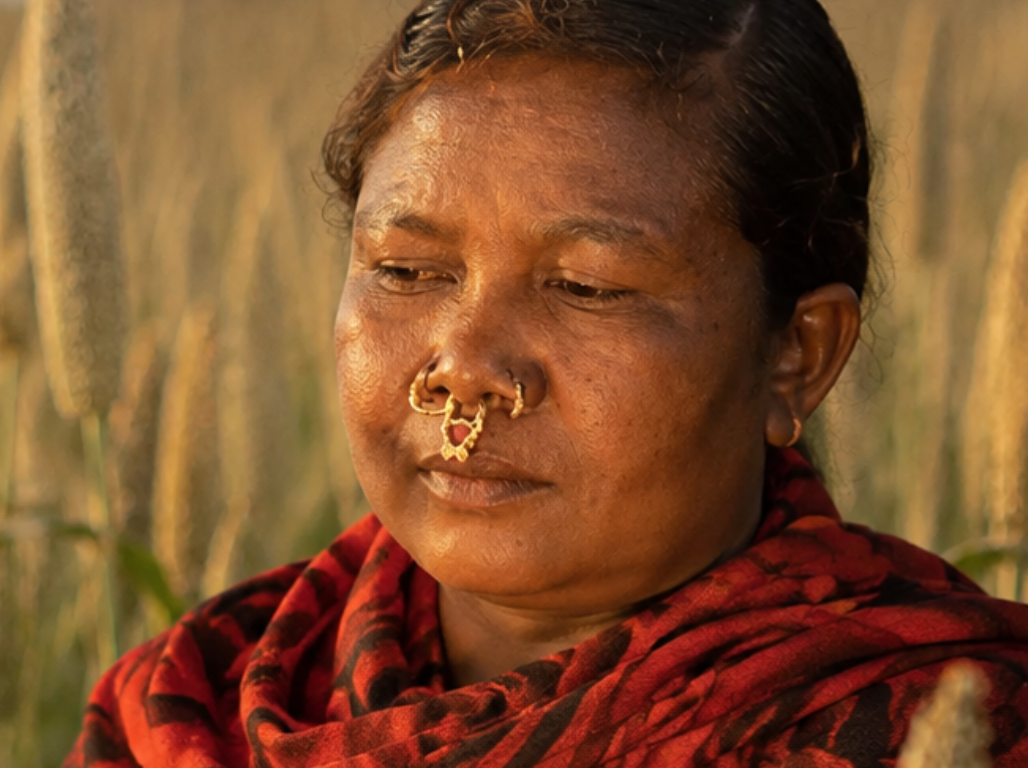 Farmer standing in a millet field at golden hour