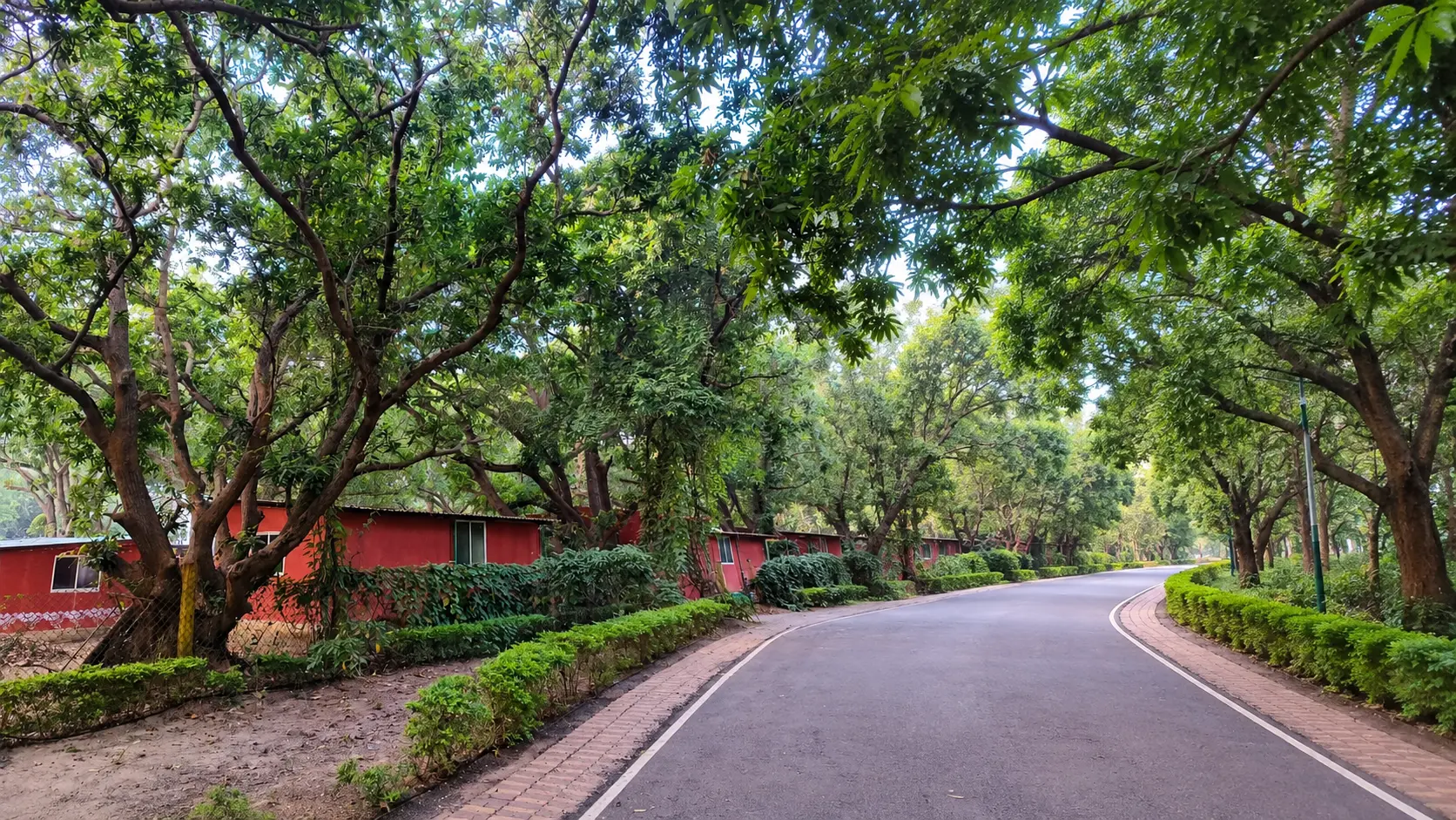Tree-lined road past the red buildings of the Bodh Kendra campus in Odisha
