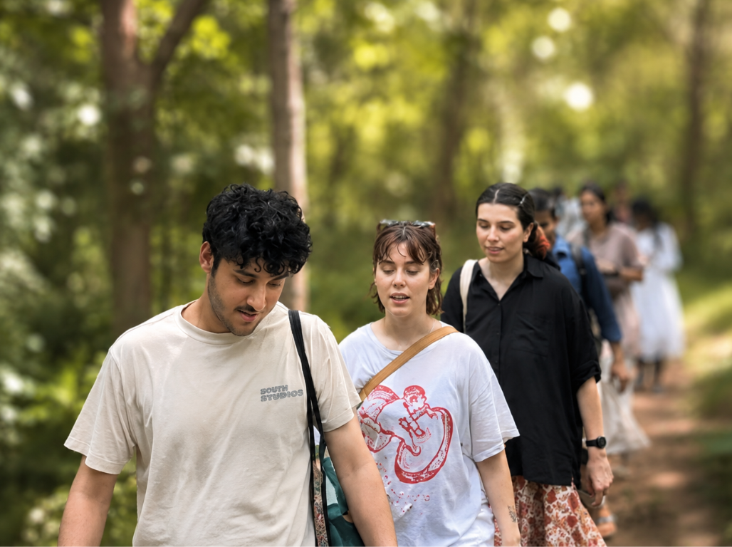 A group of learners walking together along a shaded forest trail during a walkshop