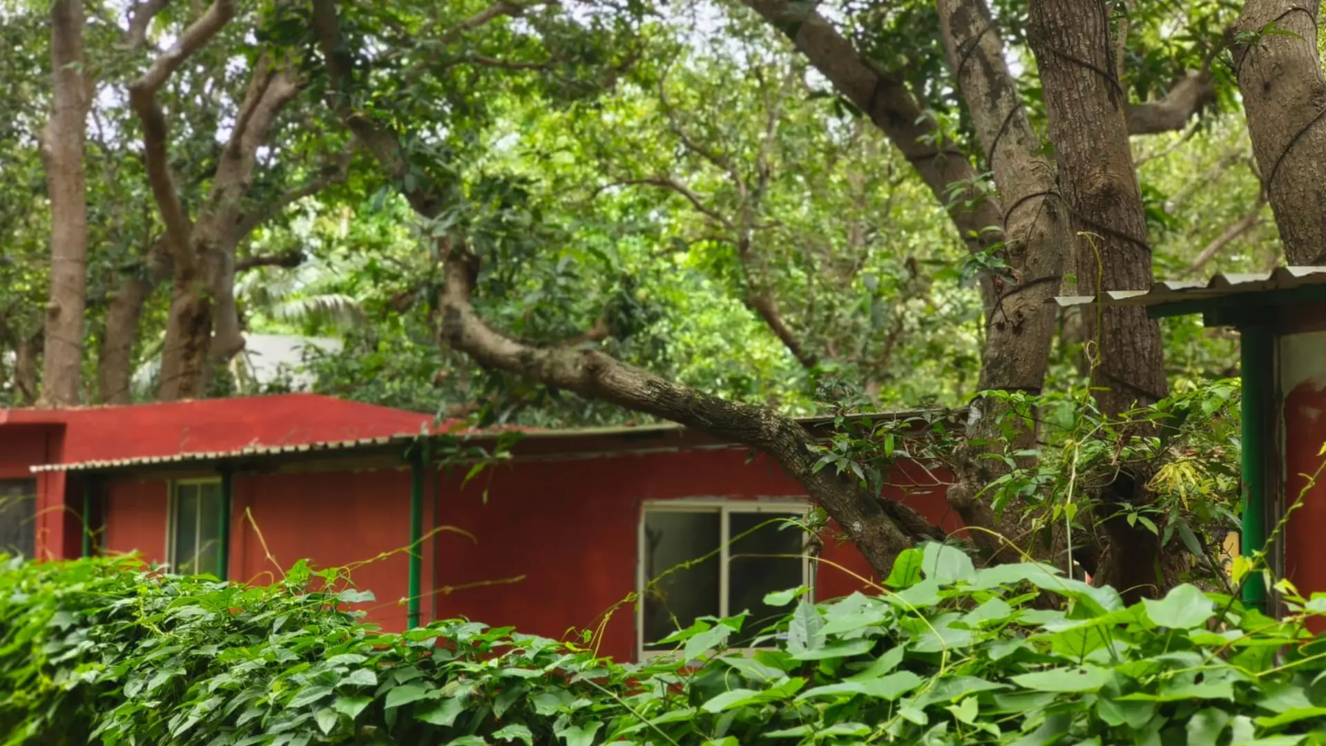 A Bodh Kendra learning centre set among trees and greenery