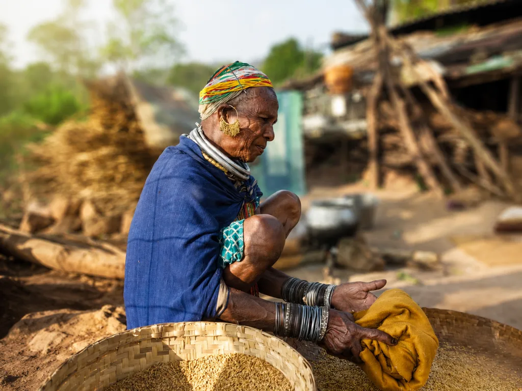 A Bonda elder winnowing grain in a village courtyard