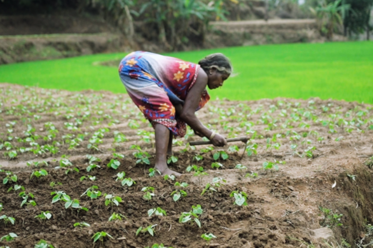 about-01 Two tribal women from India in vibrant traditional attire seated against an earthy backdrop.